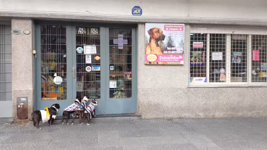 Consultorio Veterinario Colegiales