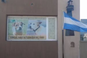 Consultorio Veterinario del Faro