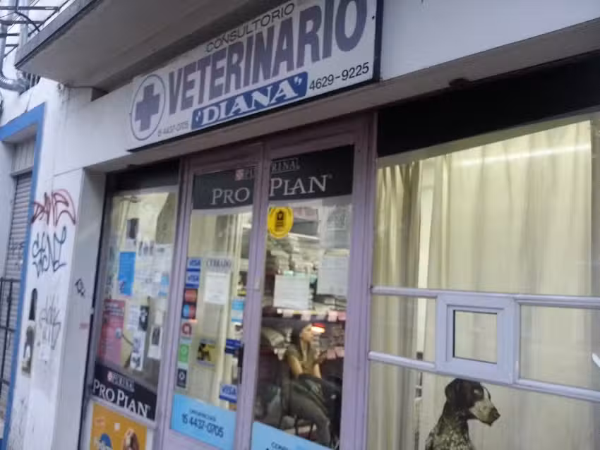 CONSULTORIO VETERINARIO DIANA