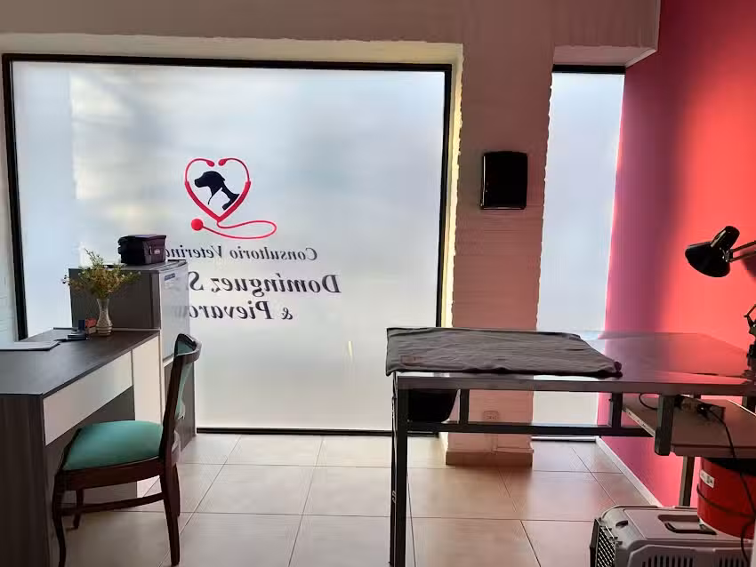 Consultorio Veterinario Dom&iacute;nguez S&aacute;ndez y Pievaroli