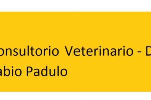 Consultorio Veterinario- Dr. Fabio Padulo