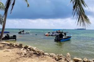 Consultorio Veterinario Dr Fiordelisi