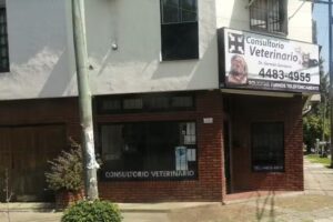 Consultorio Veterinario – Dr German Gambaro