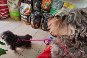 Consultorio Veterinario. Dr. José María Skerly