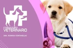 Consultorio Veterinario Dra Luc&iacute;a Romina Fontanellaz