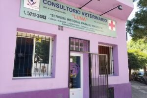 Consultorio Veterinario Luna