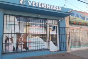 Consultorio Veterinario Pergamino