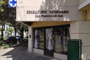 Consultorio Veterinario San Francisco de As&iacute;s