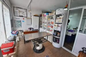 Consultorio Veterinario San Isidro