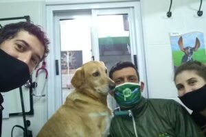 Consultorio Veterinario San Rafael