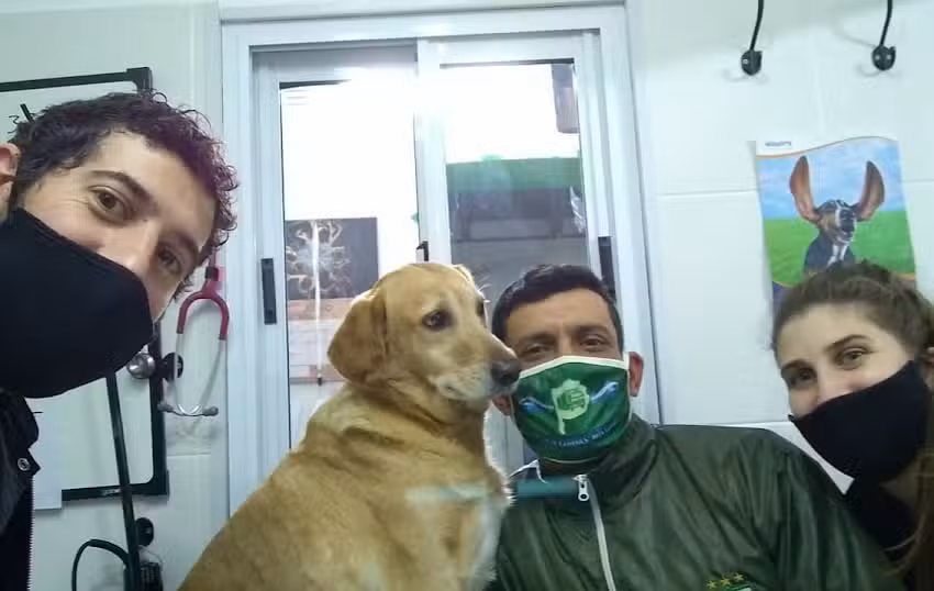 Consultorio Veterinario San Rafael