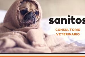 CONSULTORIO VETERINARIO SANITOS