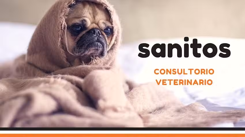 CONSULTORIO VETERINARIO SANITOS