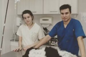 Consultorio Veterinario Yagua Rinc&oacute;n