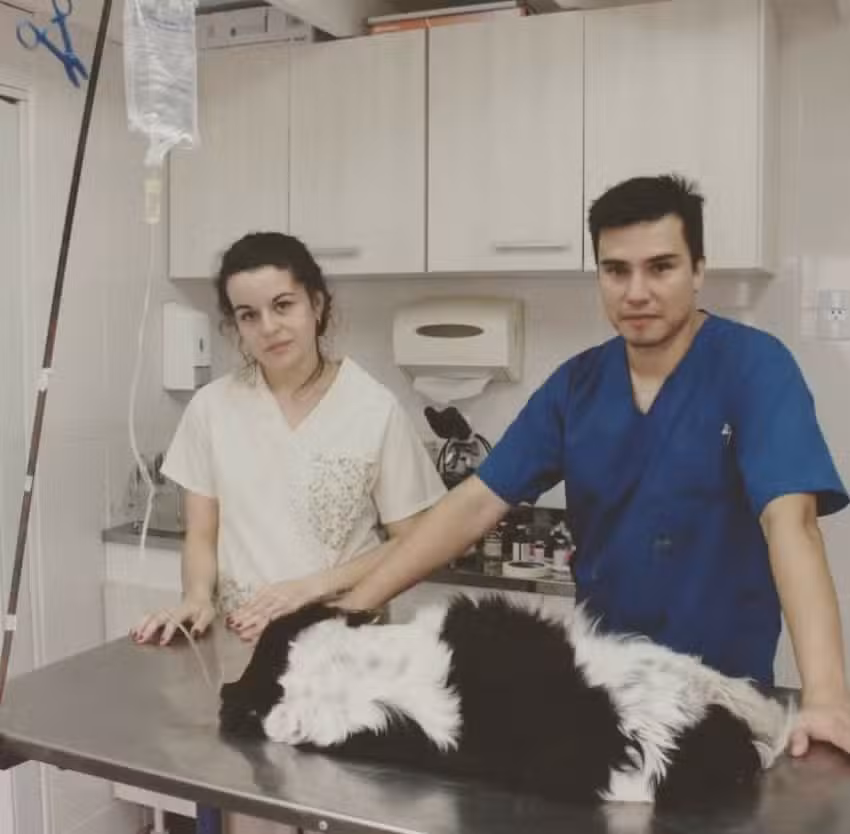 Consultorio Veterinario Yagua Rinc&oacute;n