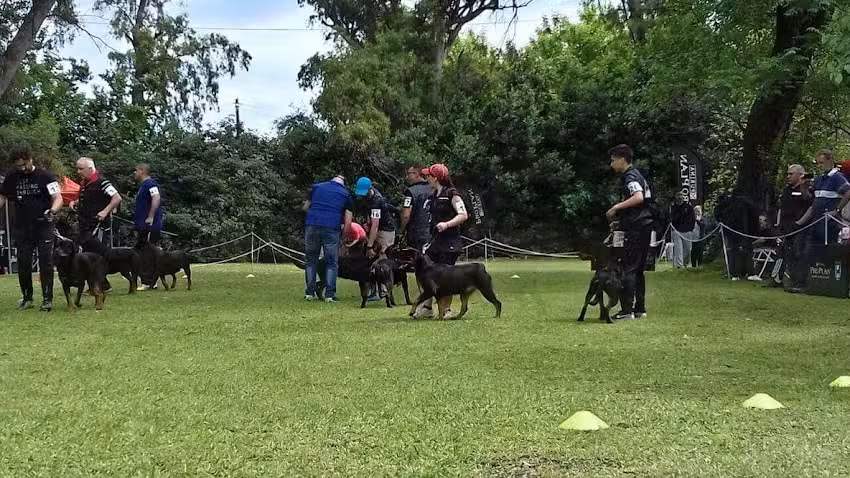 Consultorios veterinarios SHAILARA