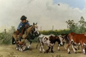 Cordí Ayástuy Alejandro Veterinario