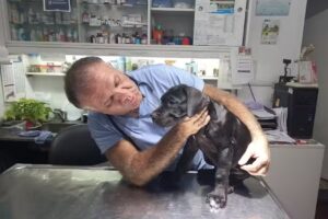 +Cota’S Clínica Veterinaria San Martin