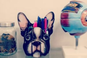 COVET &ndash; Centro Oftalmol&oacute;gico Veterinario