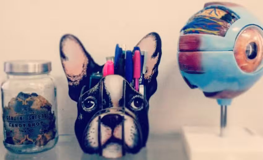 COVET &ndash; Centro Oftalmol&oacute;gico Veterinario