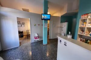 CVet | Consultorio Veterinario