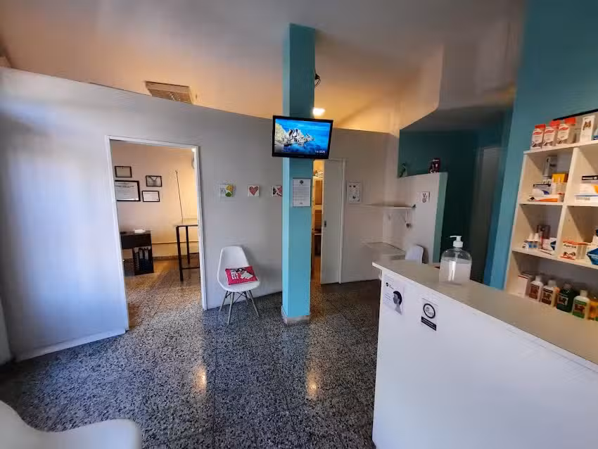 CVet | Consultorio Veterinario