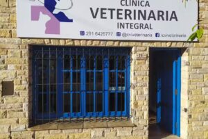 CVI Clinica Veterinaria Integral