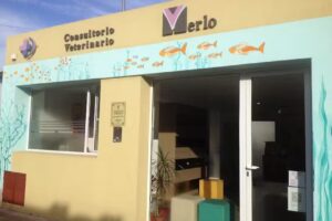 CVM &ndash; Consultorio Veterinario Merlo