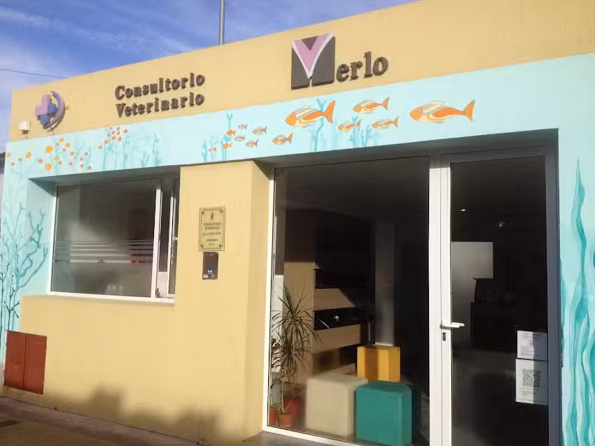 CVM &ndash; Consultorio Veterinario Merlo