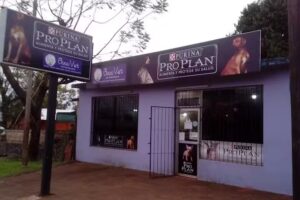 DAWA Cl&iacute;nica Exclusiva de Felinos