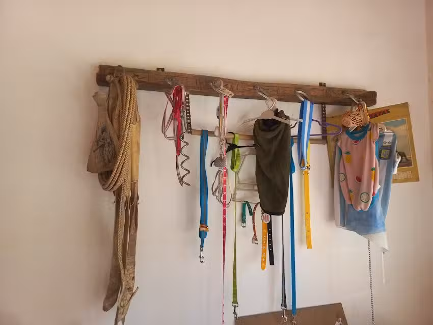 De Campo veterinaria