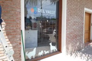 Del valle cl&iacute;nica veterinaria