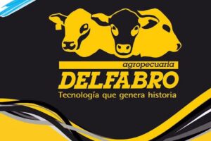 Delfabro Agropecuaria SA