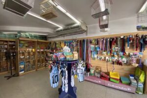 Delf&iacute;n Veterinaria