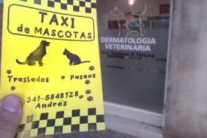 Dermatologia veterinaria alergista
