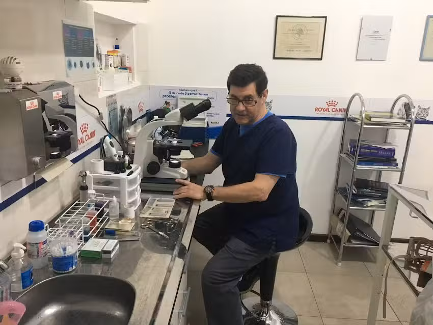 DermatoVet Consultorios Veterinarios. Zona Norte