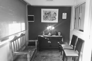 Diagn&oacute;stico Plaza &ndash; Especialidades Veterinarias