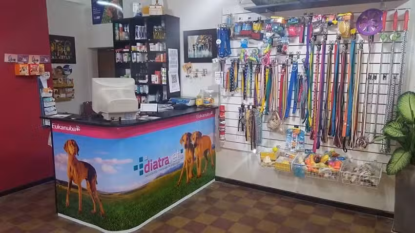 Diatravet (Diagn&oacute;stico y Tratamiento Veterinario)