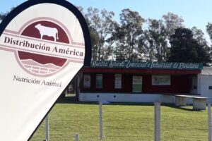 Distribucion America