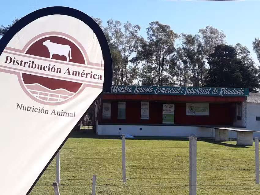 Distribucion America