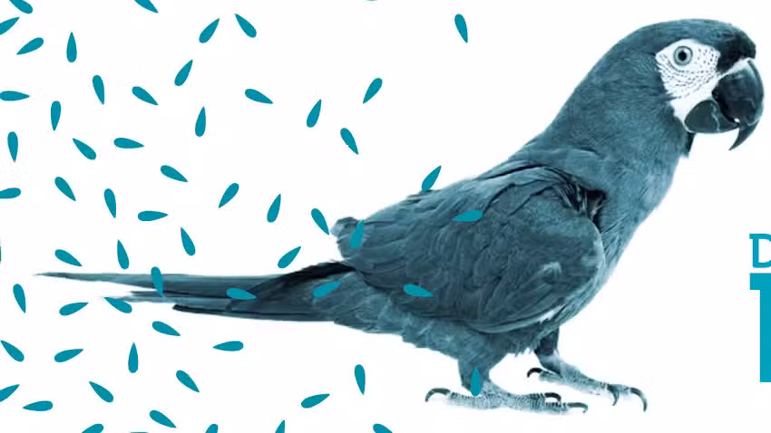 Doctora Pepa Veterinaria de Exoticos