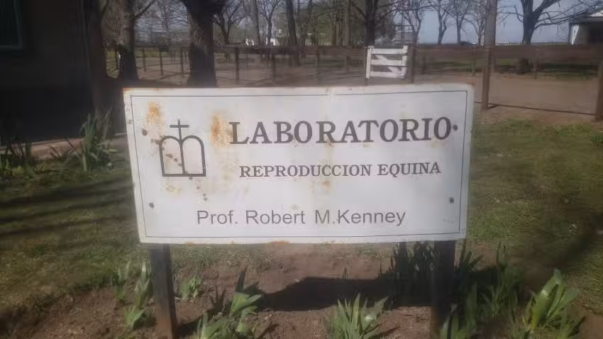 Do&ntilde;a Pilar Embrionario de Lincon