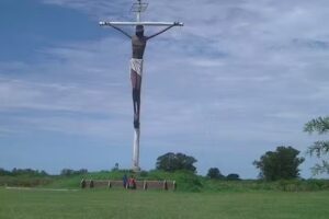 Dr Battauz Veterinaria Peluqueria y Vta de Cachorros