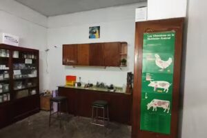 DR. Galvagni Alfonso