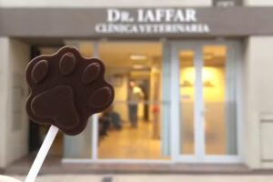 Dr. Iaffar Cl&iacute;nica Veterinaria