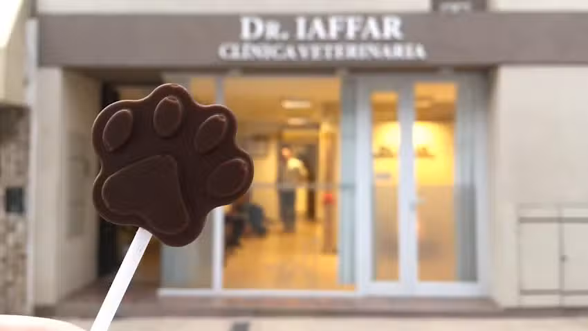 Dr. Iaffar Cl&iacute;nica Veterinaria