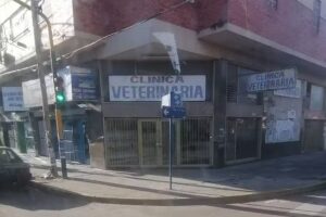 Dr Torres Veterinaria