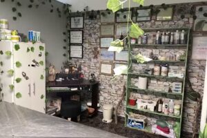 Dra. Agustina Gonz&aacute;lez Aaman/ Consultorio Veterinario de Animales no convencionales y silvestres.