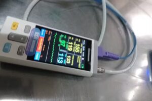 Dra Mar&iacute;a Elina Rodr&iacute;guez