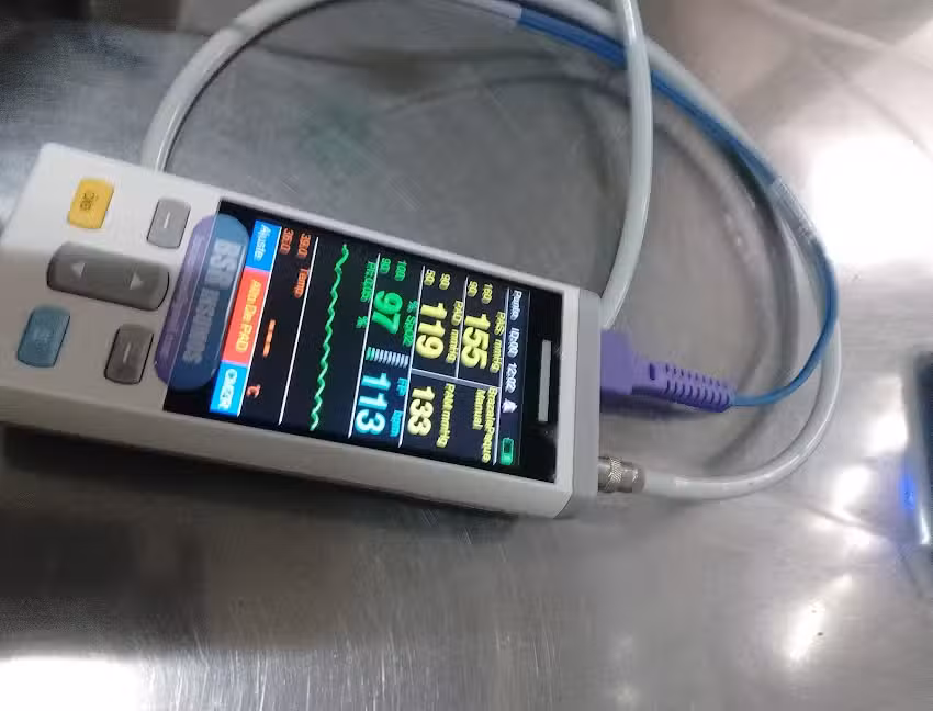 Dra Mar&iacute;a Elina Rodr&iacute;guez